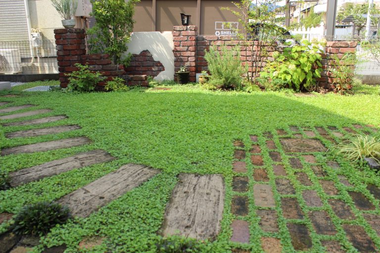 ディコンドラの種まき 横浜・川崎のエクステリア 工事なら新建エクスプランニング
