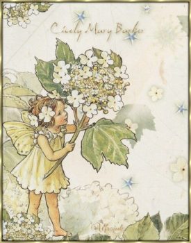 Irish garden fairy! - pinterest