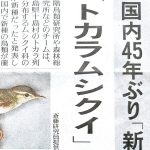 45年ぶりに日本産鳥類の新種発見！？