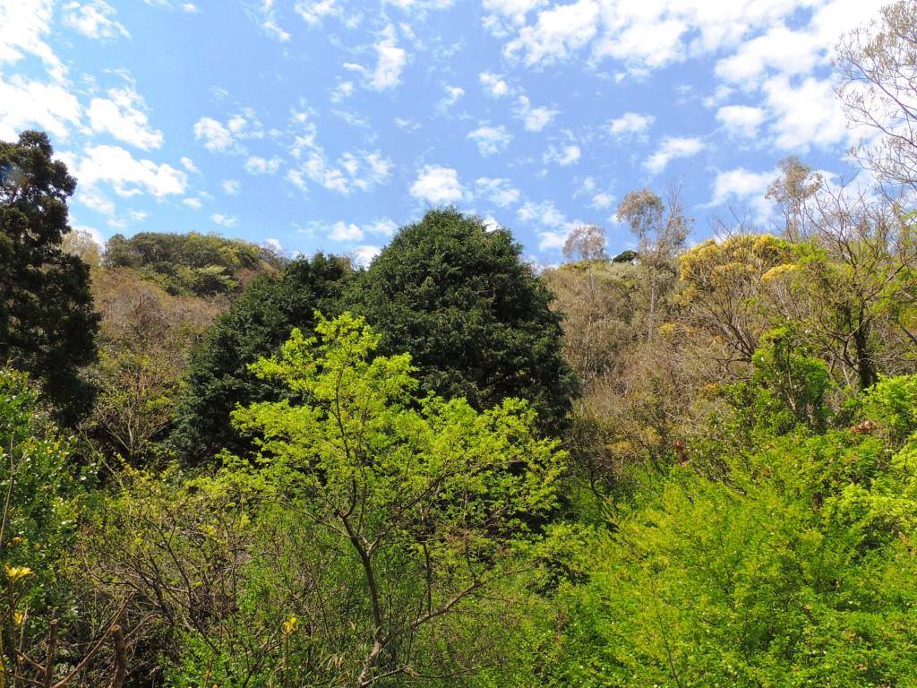 山が笑う
