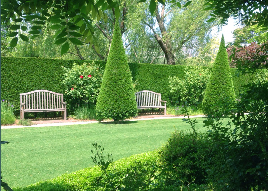 Beautiful lawn garden