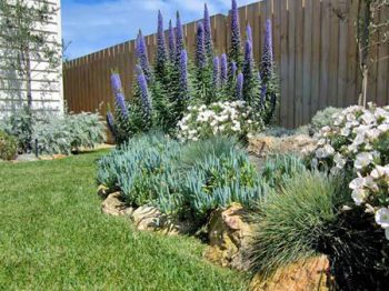 West coast style plant