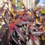 うちの諸事情(笑)♪