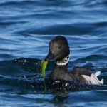 遅ればせながら…。今年もよろしくお願い致します。