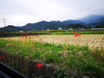 伊勢原市