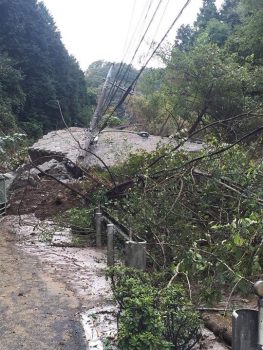 台風21号のきずあと