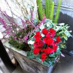 毎年恒例の「I様邸・植栽管理」