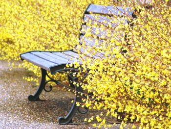 Spring has come!