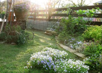 Beautiful lawn garden(わたべのお庭)