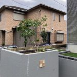 雑草と剪定は大変(ﾟДﾟ;)