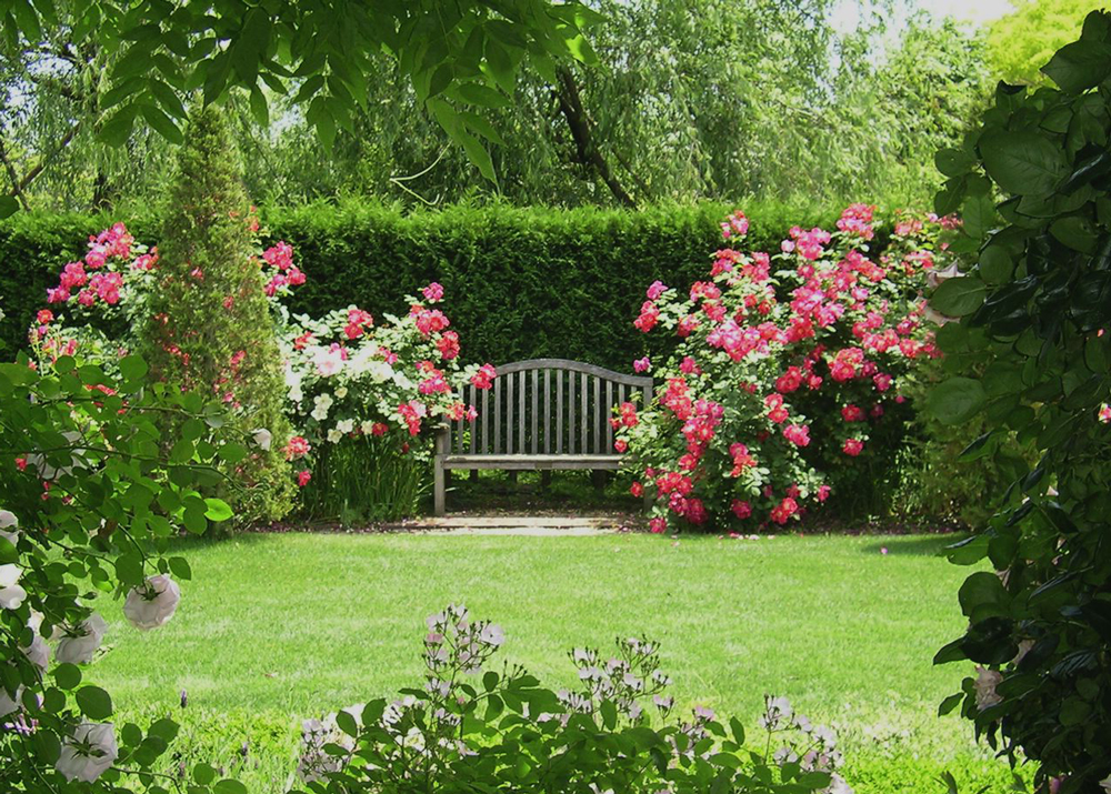 Beautiful lawn garden