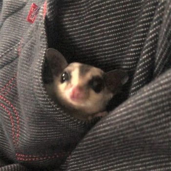 落ち着くのよー