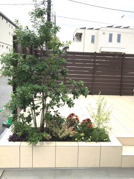 シンボルツリーと下草のお花たち 横浜 川崎のエクステリア 工事なら新建エクスプランニング