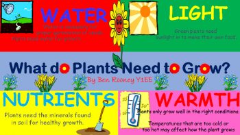 What plants need