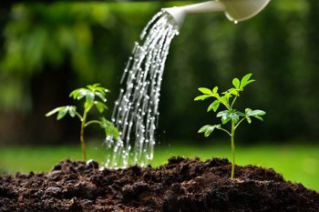 Water＆Soil＆Nutrients